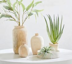 three vases with plants in them sitting on a white table next to each other