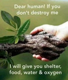 two hands holding a tree branch with the words dear human if you don't destroy me i will give you shelter, food, water & oxygen