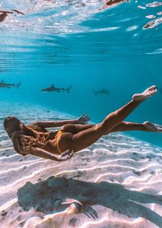 a woman is swimming in the ocean with sharks