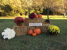 hay bales with pumpkins and mumensils on the grass