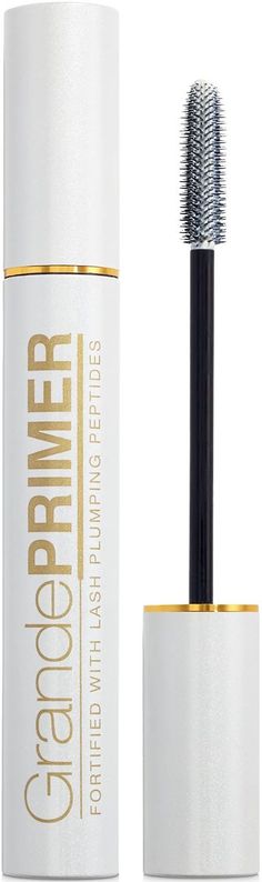 Eye Primer, Eyeliner, Beauty