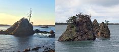 two different views of rocks in the water and trees growing on top of one rock