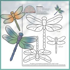 the instructions for how to draw dragonflies with colored pencils and markers on paper