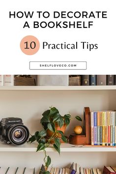 bookshelf with plants, books and an old camera