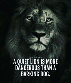 a black and white photo with a lion in the background that says, a quiet lion is more dangerous than a barking dog