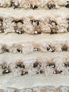 the cat is laying down on the rugs that are lined up in rows together