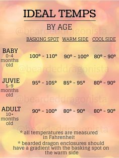 an ad for the ideal temps by age