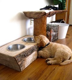 a dog laying on the floor next to a wooden table with two bowls in it