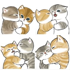 four different pictures of cats hugging each other