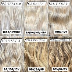 Ice Blonde Toner Formula, Blonde Tones For Fall, Full Head Bleach And Toner, Paul Mitchell Demi Formulas, Goldwell Toner Formulas Blonde, Paul Mitchell Demi Toner Formulas, Shades Blonde Formula, Honey Blonde Hair Toner Formula, Paul Mitchell Toner Formulas Blonde