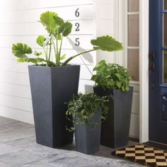 three tall planters sitting next to each other on the ground in front of a door