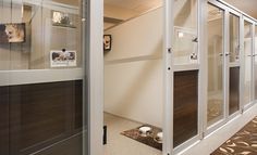 an office hallway with glass doors and pictures on the wall above it, along with carpeting