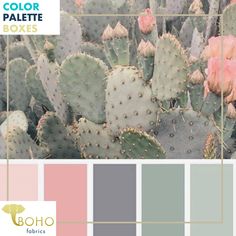 a cactus with pink flowers and green leaves is shown in the color palette swatches