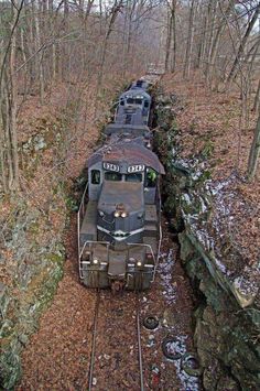 a train traveling through a forest filled with lots of leaf covered ground and trees on top of it