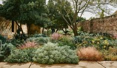 a garden with lots of different plants and trees in it, along side a brick wall