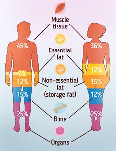 What Types of Body Fat There Are Losing Weight Memes, Youtube Channel Ideas, Medical Anatomy, Adipose Tissue, Reduce Body Fat, Creating A Newsletter, Flat Tummy