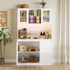 a white shelf filled with lots of bottles and glasses next to a potted plant