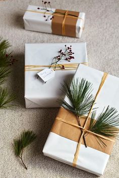 two wrapped presents sitting on the floor next to pine branches