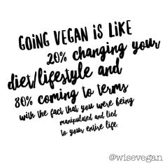 Reasons To Go Vegan, Vegan Vibes, How To Become Vegan, Vegan Memes, Vegetarian Lifestyle, Diet Lifestyle