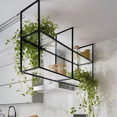 the kitchen is clean and ready to be used as a planter for hanging plants