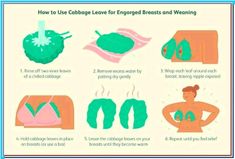 Wrap Your Breasts In Cabbage Leaves And Wait For 1 Hour – Koperacija The answer is YES, many women put cabbage leaves on their breasts. Take a look at the article below and find out more about this... Breastfeeding Weaning, Body Inflammation, Throbbing Headache, Liver Care, Baby Feeding Schedule, Too Much Estrogen, Low Estrogen, Working Mom Tips, Daily Yoga Workout