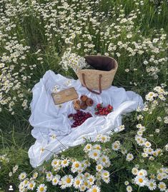 a picnic in the middle of daisies and wildflowers is ready to be eaten