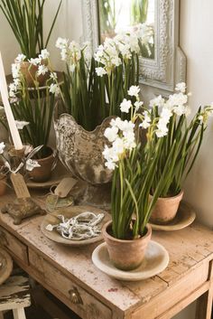 some white flowers are sitting on a table in front of a mirror and other items