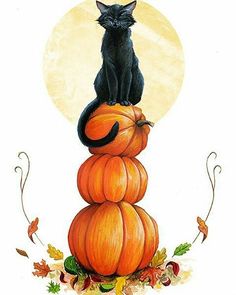 a black cat sitting on top of a stack of pumpkins with the moon in the background