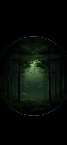 an image of a dark forest at night