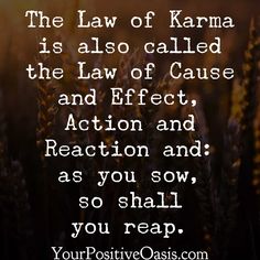 the law of karma is also called the law of cause and effect action and reason as you sow, so shall you reap