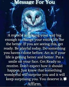 an owl with the words message for you