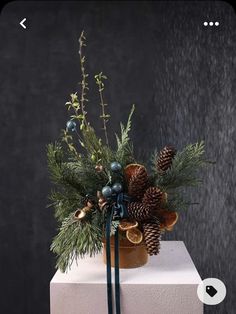 an arrangement of pine cones, berries and greenery in a pot on top of a white block