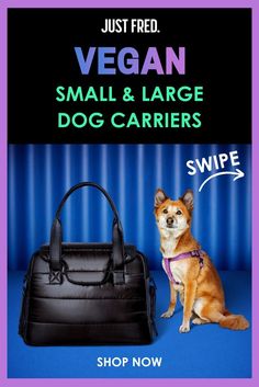 Vegan small and large dog carriers.  This carousel pin with 3 pins shows the destination tote limited edition with a medium sized dog, the built-in dog waste bag dispenser, zipped top and peekaboo window.  This bag is PETA approved.  Shop now at Just Fred.