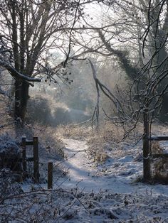 a path in the woods covered with snow