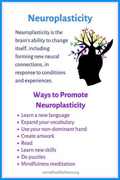 Neuroplasticity Exercises, Nervus Vagus, Brain Based Learning, Neural Connections, Brain Science