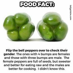 two green peppers sitting next to each other on top of a white sheet with the caption