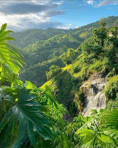 a waterfall surrounded by lush green trees on a sunny day