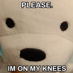 a white teddy bear with black eyes and the words please i'm on my knees