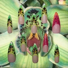 Orchid Nails, Green Orchid, Punk Nails, Cute Gel Nails, Nails Only, Hot Nails, Dream Nails, Fire Nails