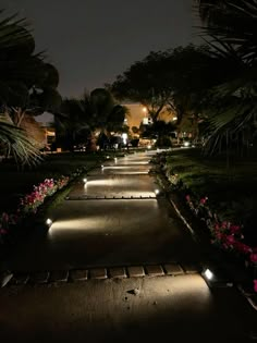 a walkway lit up at night with flowers in the foreground and palm trees on either side