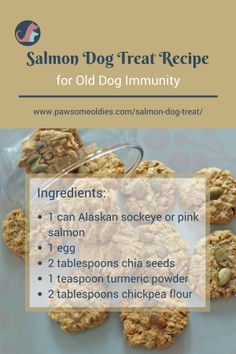 an advertisement for salmon dog treat recipe