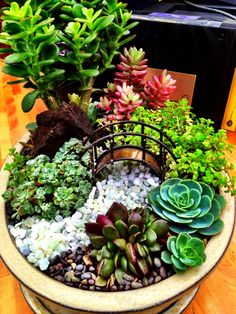 a potted planter filled with lots of succulents on top of a wooden table