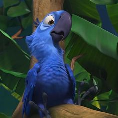 a blue parrot sitting on top of a tree branch next to green leafy plants