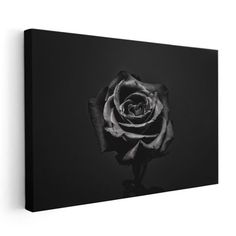 a black and white photo of a single rose on a dark background canvas wall art print