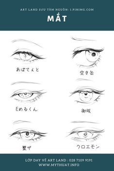 the different types of eyes and how to draw them in adobe, photoshopped