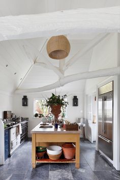 a kitchen with an island and potted plants on it