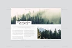 an image of a website page with trees and fogs in the background - web elements