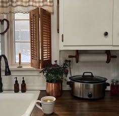 a kitchen with a potted plant on the counter next to a sink and window