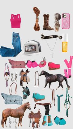 there are many different types of horse related items