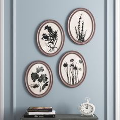 three plates are hanging on the wall above a dresser